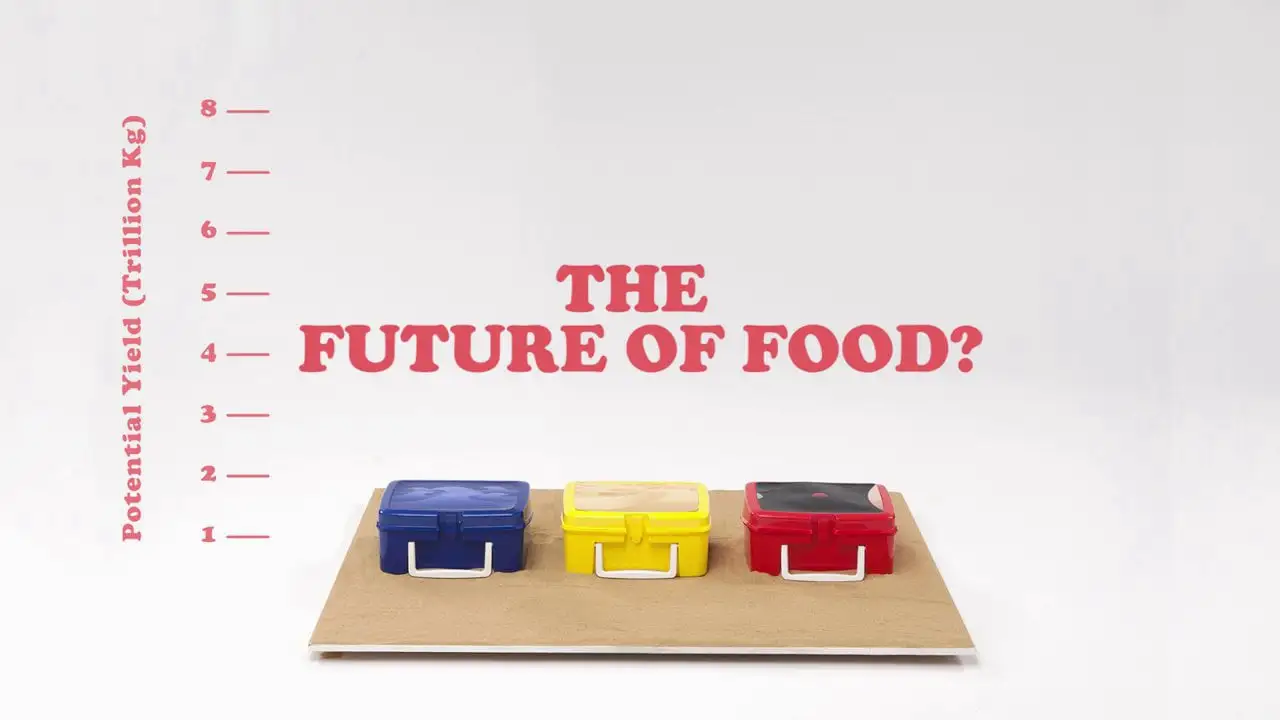 食品的未来